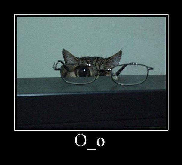 Юля Капелюшок | Киев