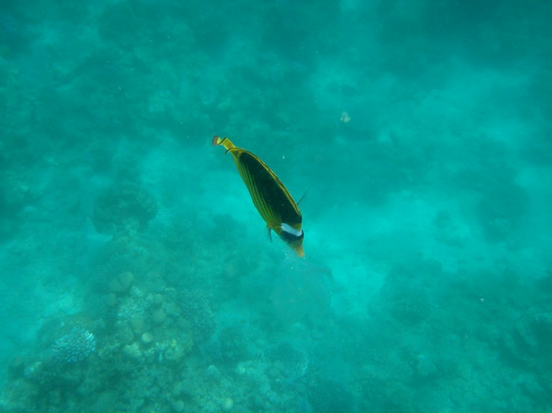 Сергей Краснобаев | Луганск