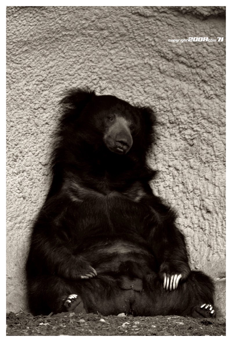 Эль Elle | Санкт-Петербург