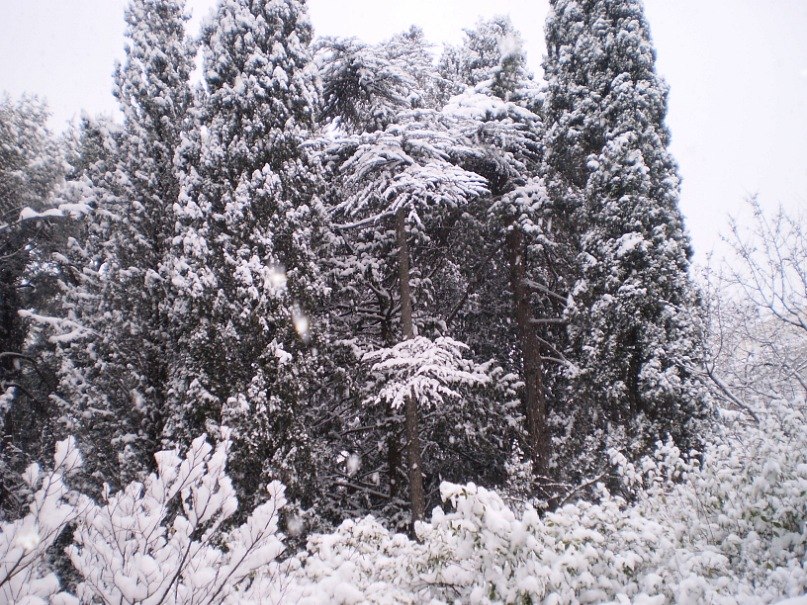 Татьяна Лыткина Викторовна | Йошкар-Ола