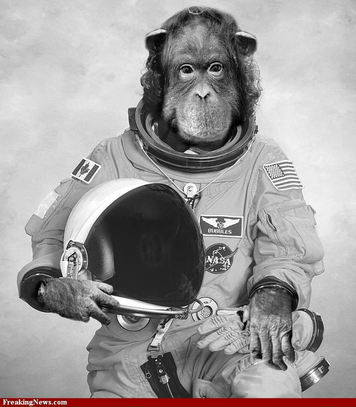 Сергей Таранов | Москва