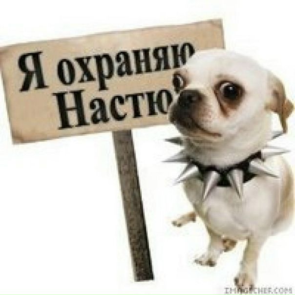 №16, Анастасия Переплетная, 36 лет, Киев №16, Анастасия Переплетная, 36 лет, Киев