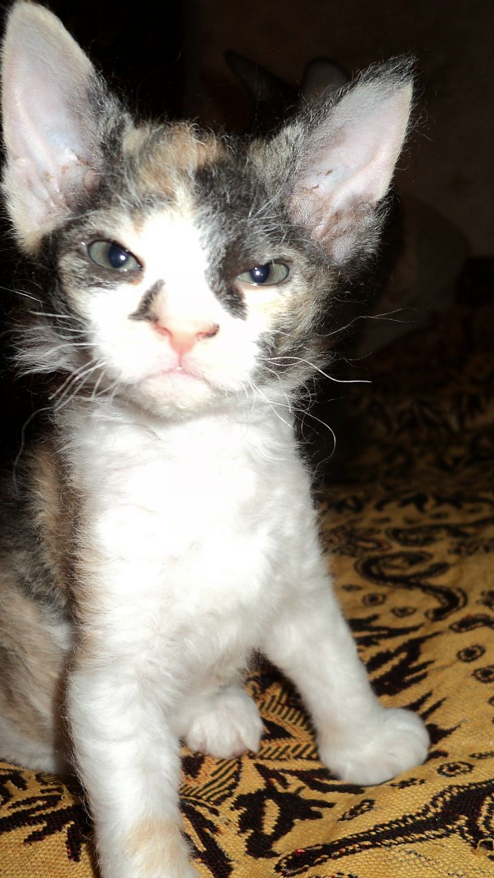 Сергей Сонин | Волгоград