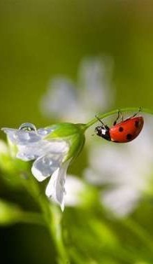 Катя Пилипонюк | Ивано-Франковск