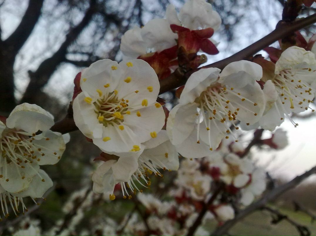 Віка Задера | Киев