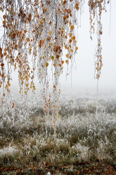Валерия Цукенг | Минск