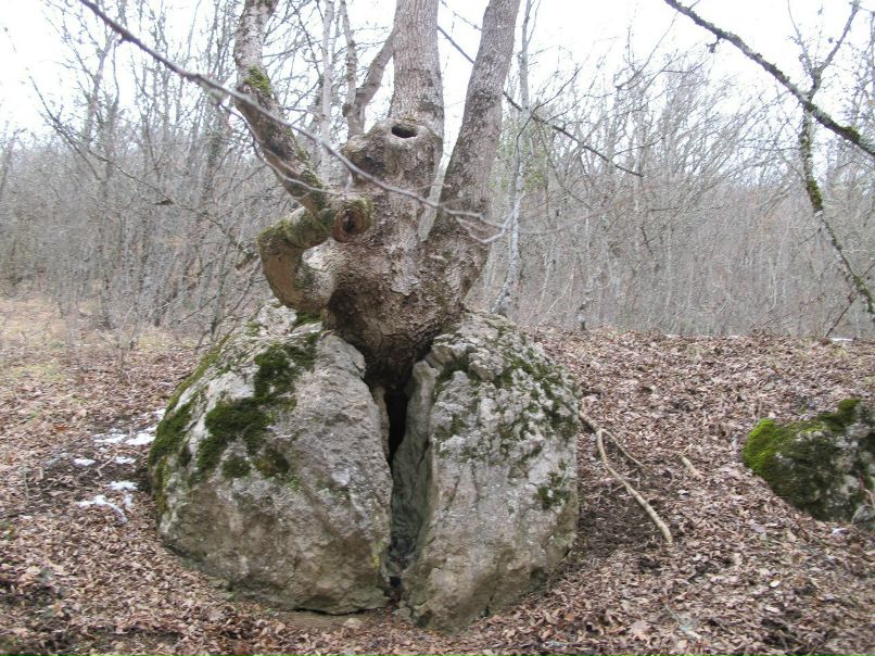 Игорь Баженов | 