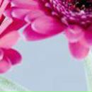 Ангелина Рослова ♥Greeneyes_Angel♥ | Москва