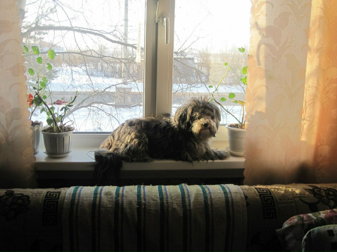 Оля Грудина | Санкт-Петербург