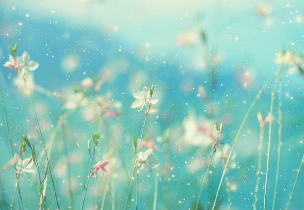 Лена Разгуляева | Москва