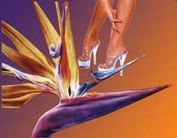 №52, Кристина Сковородкина №52, Кристина Сковородкина