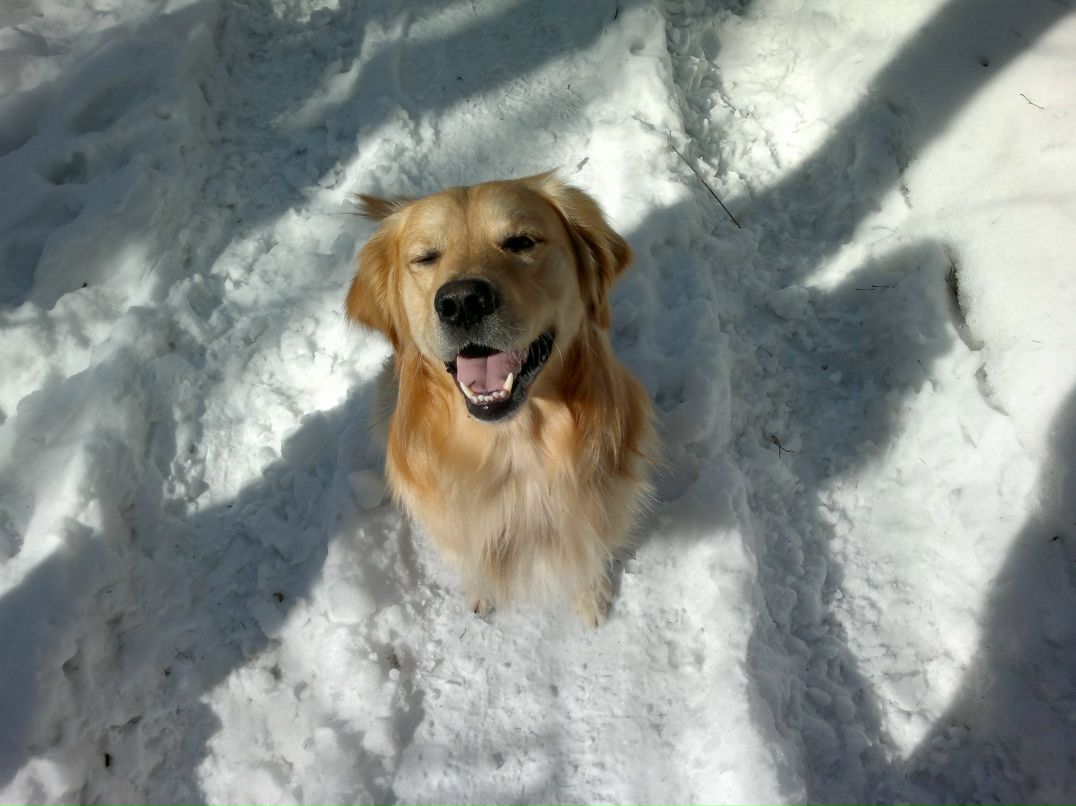 Дмитрий Черноляхов ())---DIMON--- | Москва