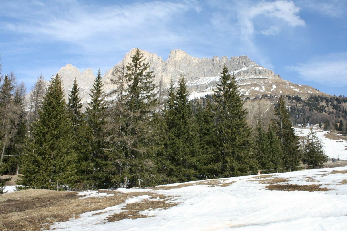 Тамара Ильяшенко | Санкт-Петербург
