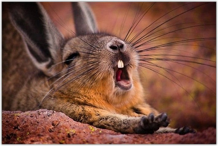 Дария Лепшева ♥♥♥ | Санкт-Петербург