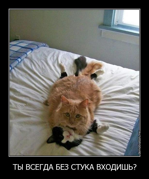 Дмитрий Леонтьев | Екатеринбург