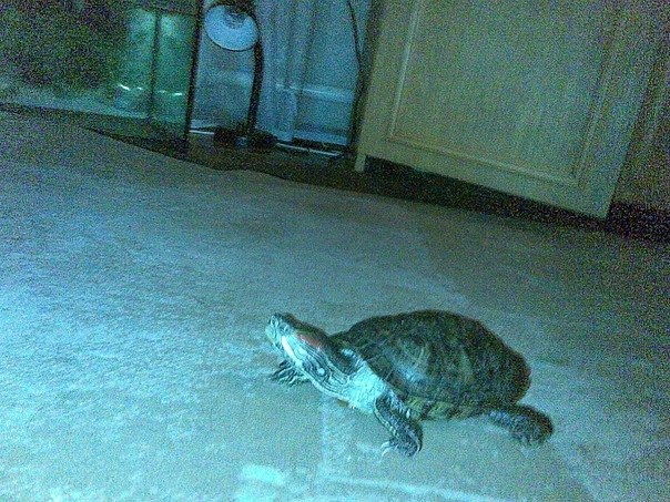 Оксана Дайнеко | Гомель