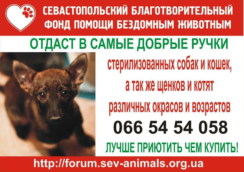 Светлана Леонтьева | Севастополь