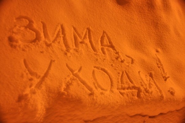 Дарья Краснова | Орехово-Зуево