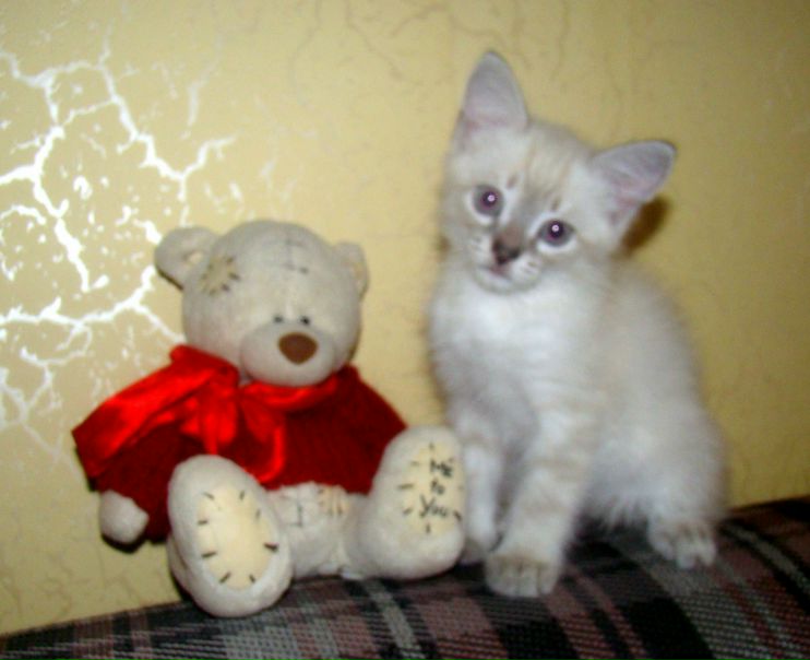 №68, Наталья Смирных, Ижевск №68, Наталья Смирных, Ижевск