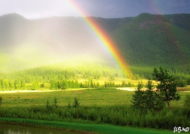 №11, Катюша Фёдорова №11, Катюша Фёдорова