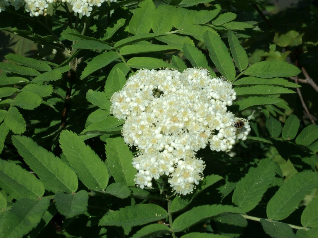 Дамир Саитов | Уфа