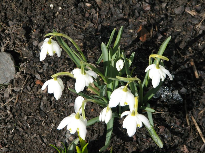 Юля Иванова | Санкт-Петербург