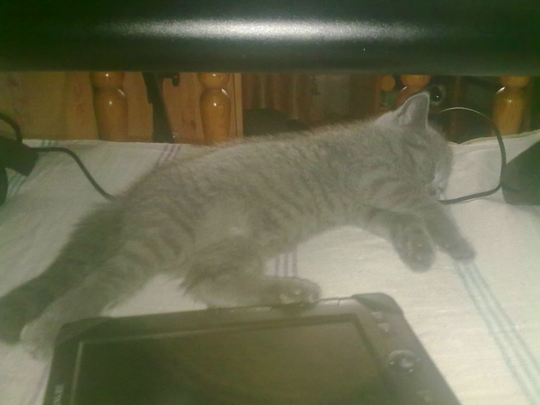 Владимир Вотяков Странный_романтик | Королёв