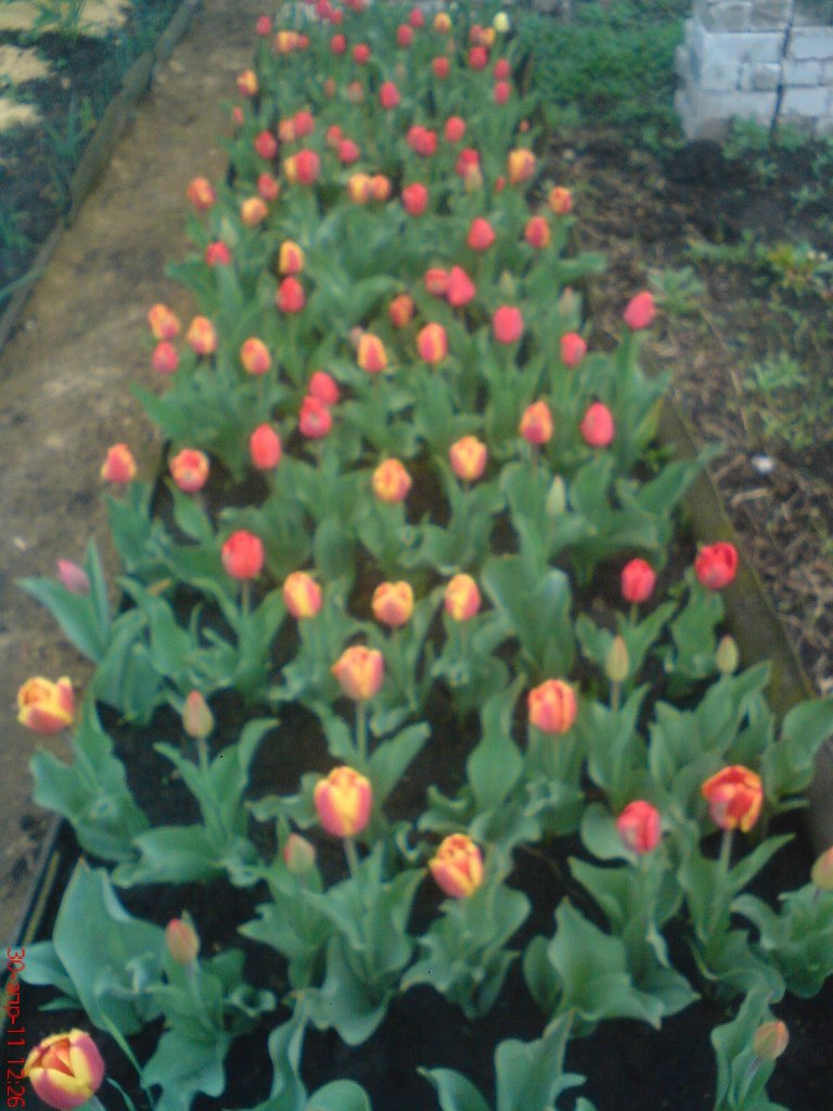 Алексей Гальцов | Славянск