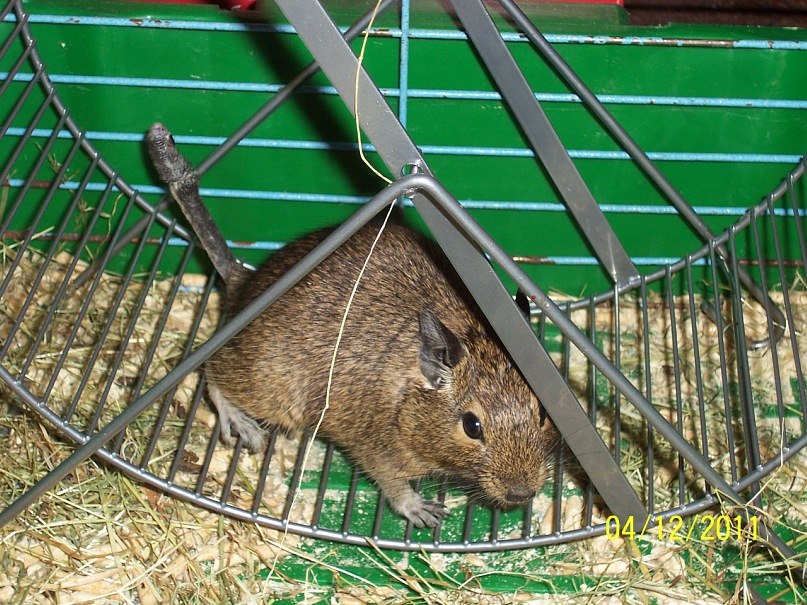 Лилия Брутова Darth_QWE | Архангельск