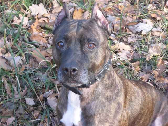 Павел Сериков | Ноябрьск