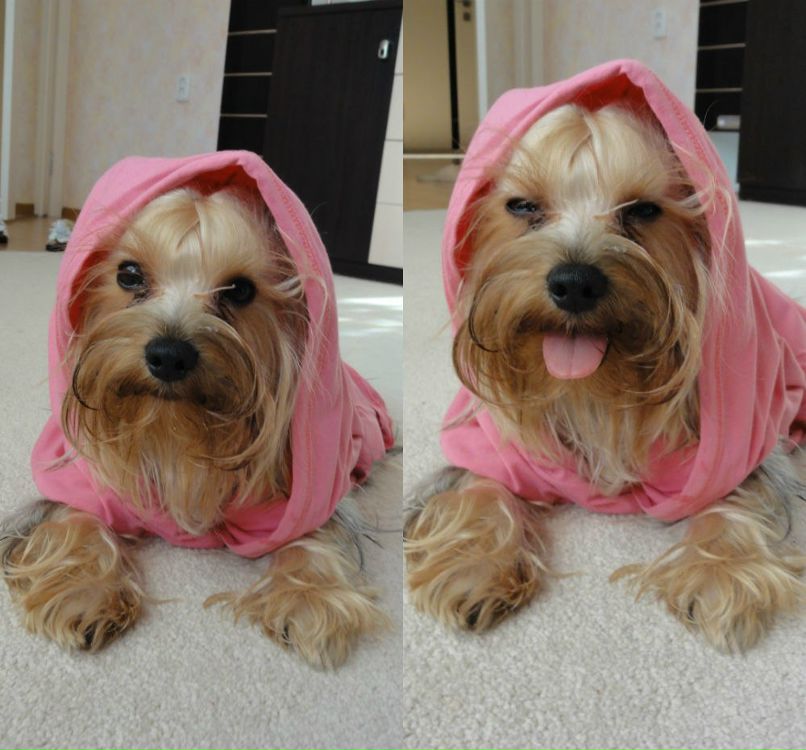 Влада Каримова | Казань