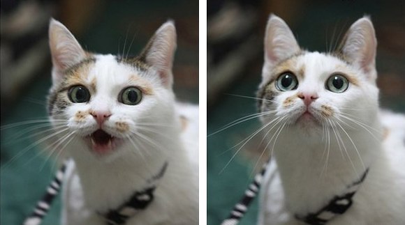 Алексей Петровский | Новосибирск