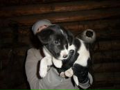№25 Ольга Кох 30.11: профиль, фото, статус - ВКонтакте