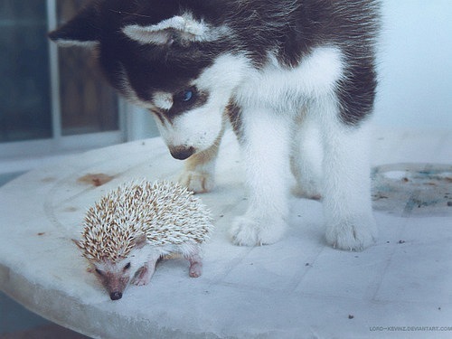 №55, Олег Азимов, Москва №55, Олег Азимов, Москва