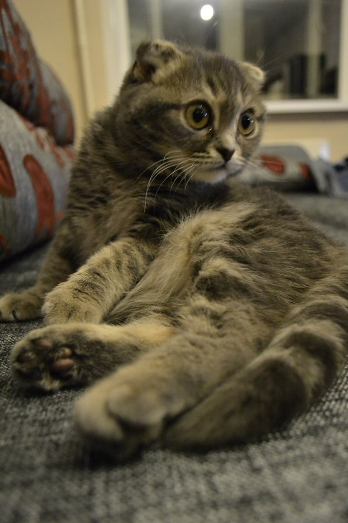 Маша Басова | Екатеринбург