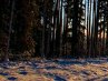 Татьяна Кулясова | Саранск