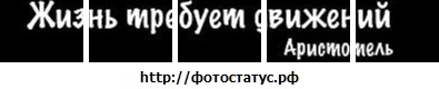 №2, Евгений Гусев, 37 лет, Кострома №2, Евгений Гусев, 37 лет, Кострома