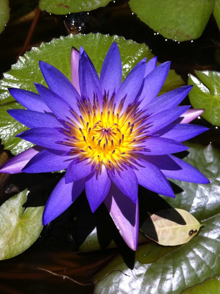 Екатерина Капустян | Ярославль