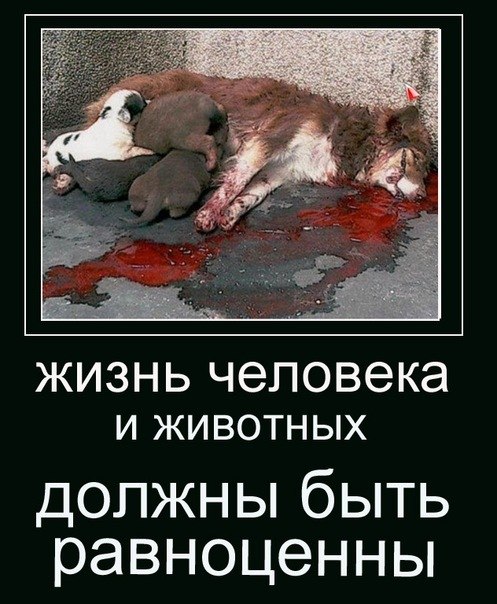 Ольга Козлова | Ртищево