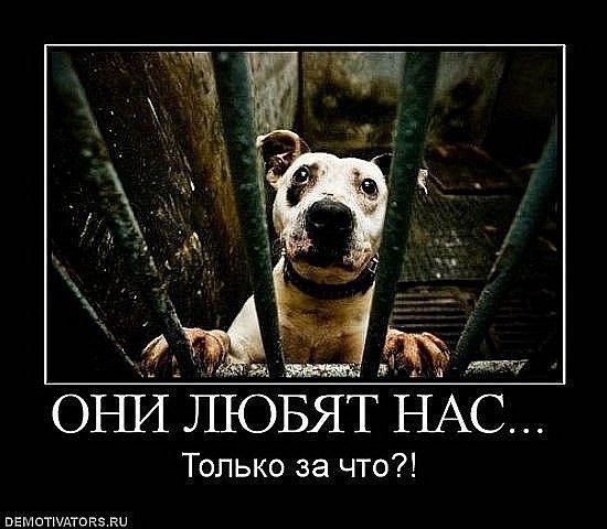 Ольга Козлова | Ртищево