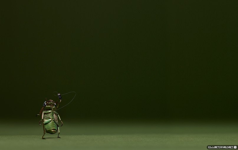 Руслан Веденеев | Ростов-на-Дону