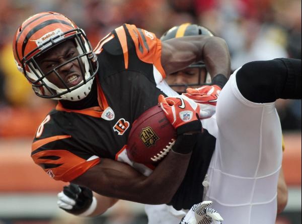 ● NFL National ●™