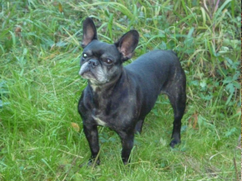 Даниил Исмагилов | Архангельск