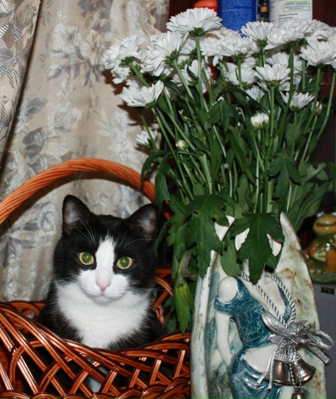 Татьяна Кузьмина | Санкт-Петербург