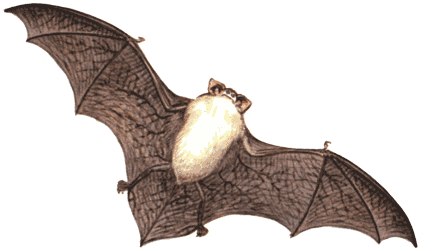 Валентин Соловьев Валерьевич vvs | Москва