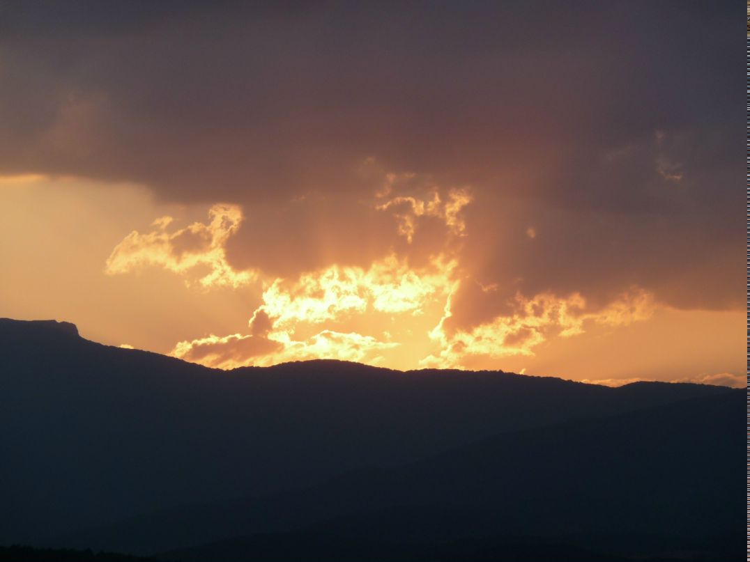 Павел Подрепный | Харьков