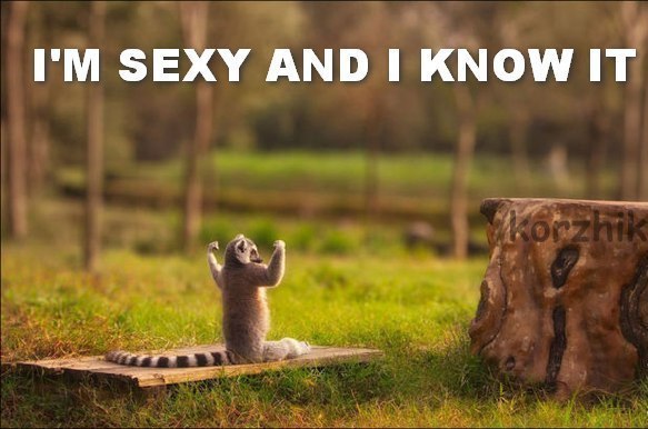 Данил Онипко | 