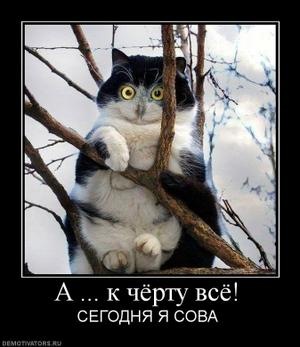 №105, Миха Неважнов, Саранск №105, Миха Неважнов, Саранск