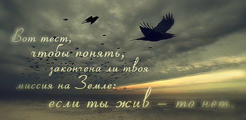 Наталья Пронина | Новосибирск