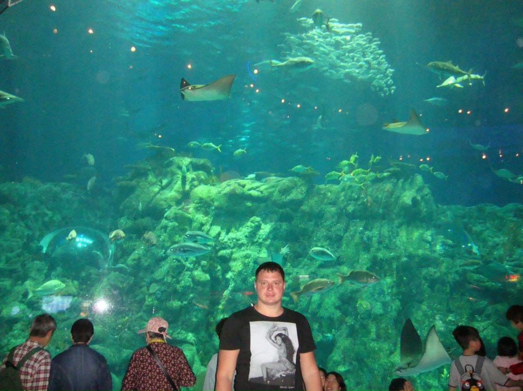 Александр Котельников | Москва